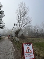 Baumpflege auf Hiddensee im Februar 2023