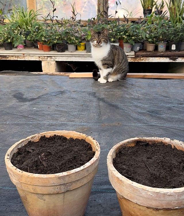 Behütet vom gesamten Zoo-Team können die Samen des Friedens nun aufgehen Behütet vom gesamten Zoo-Team können die Samen des Friedens nun aufgehen