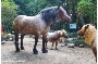 Mini-Shetty Pfiff und Kaltblutstute Emely im Zoo Stralsund