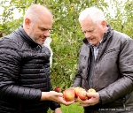 Jetzt können die Äpfel geerntet werden, Oberbürgermeister Alexander Badrow (l.) lässt sich von Johannes Eggert erläutern, wie die Bio-Produktion funktioniert